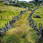 Apartment La Parenthese D Aubrac T3 Duplex 4 Personnes